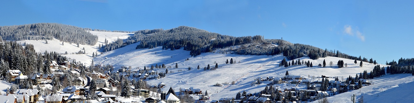 Übersetzer und DOlmetscher in Freiburg Schauinsland